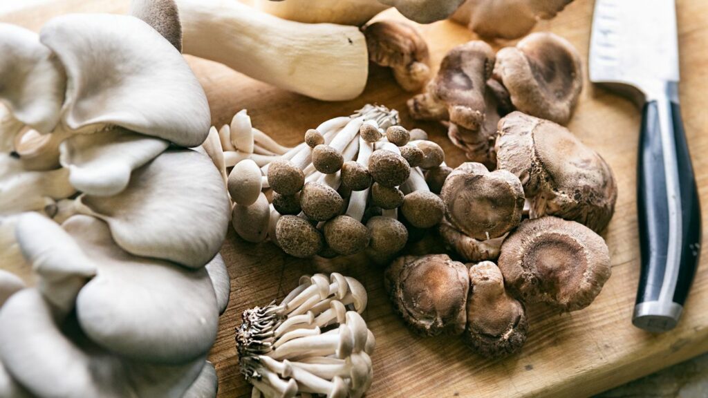 Mushroom for Health Benefits