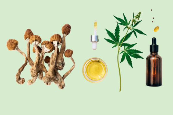 Magic Mushrooms vs CBD